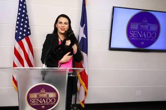 Senado aprueba sorteo especial de la Lotería para apoyar el bienestar animal