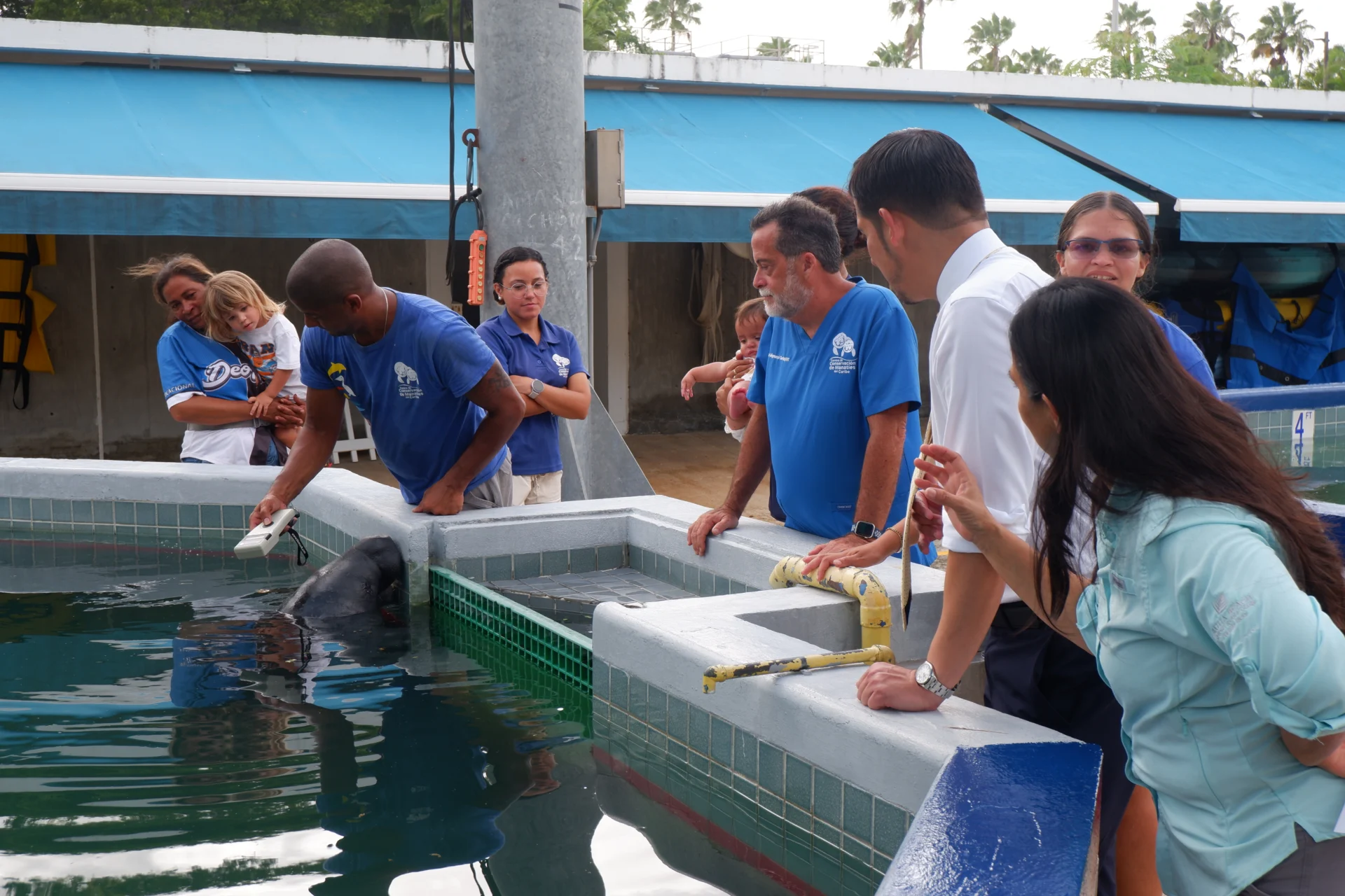 Fundación Alma de Bahía hace un llamado a apoyar al Centro de Conservación de Manatíes del Caribe