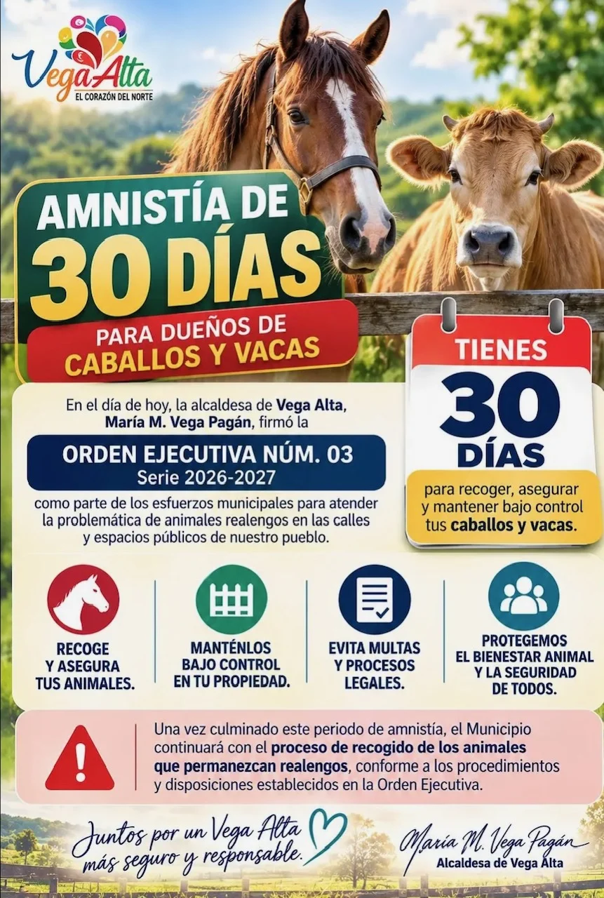 Comienza moratoria de 30 días antes que Vega Alta atienda problema de caballos realengos y los incaute