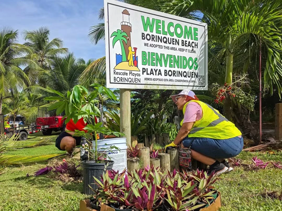 Voluntarios se movilizan para limpiar y restaurar zonas costeras de Punta Borinquen en Aguadilla