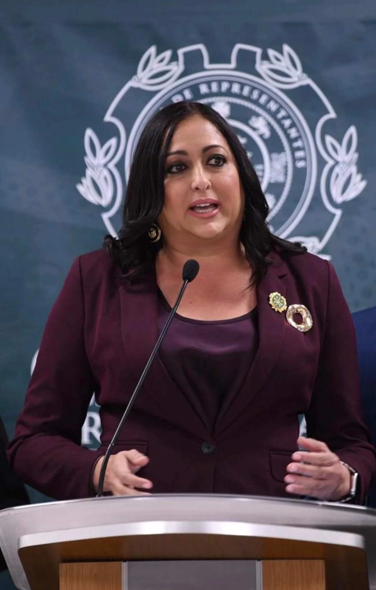 Solicitan a la Cámara de Representantes investigar hedores objetables en comunidades de Coamo